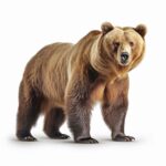 PRIESKUM: Voľby by vyhral Smer s viac ako 20 %