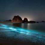 Štát pri 8. máji vytvoril chaos, dôsledky nesú mestá